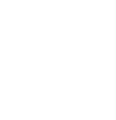 cires solution